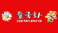 들국화